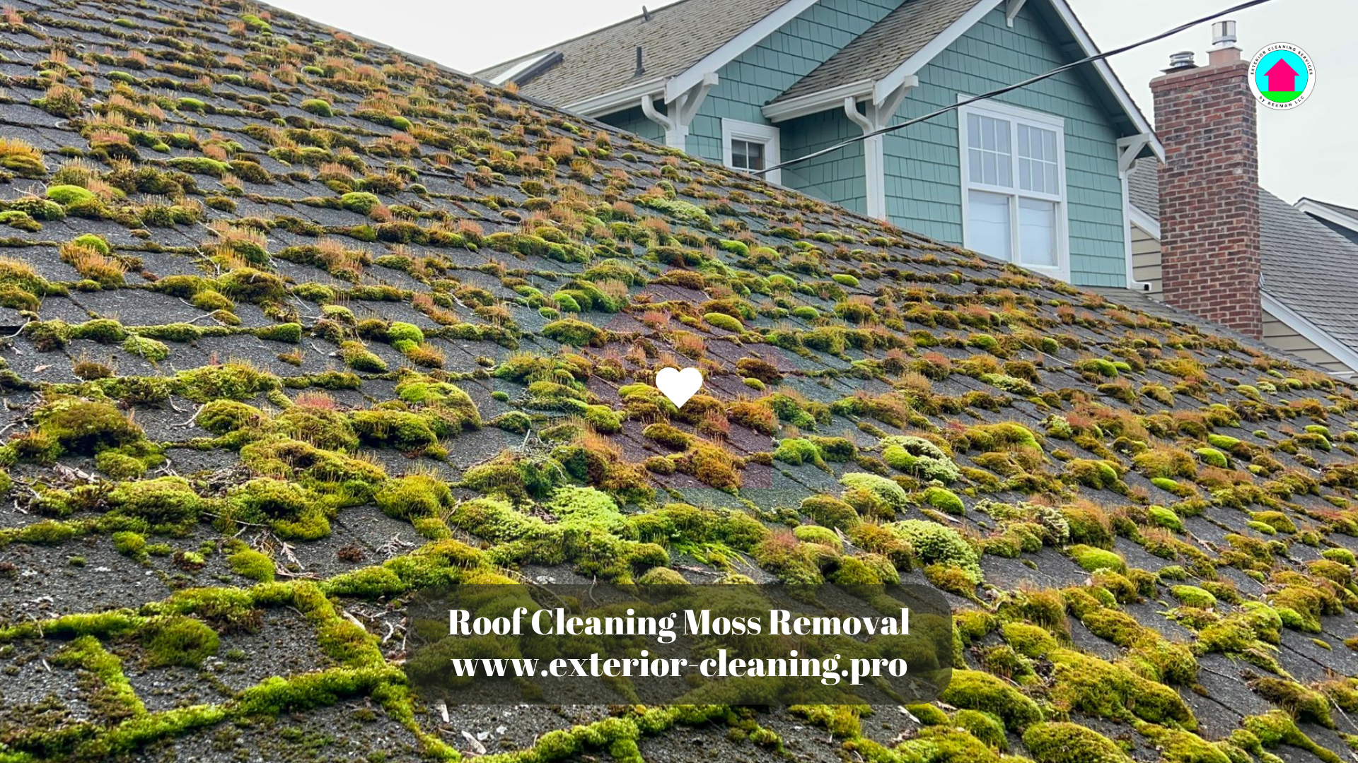 Moss on the Roof: Moss Killer vs Wire Brush (Plain Talk) Moss on the Roof: Moss Killer vs Wire Brush (Plain Talk)